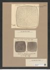 Stictodiscus jeremianus (A. Schm.) Castr. (de-Toni-Nr.: Genus 205, Species 5260) Zeichnungen Sammlung Grunow Nr. 9054 (NHMW-BOT-W0378790)